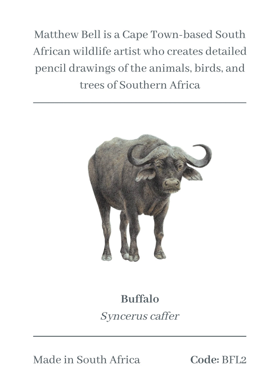 Buffalo Magnet - BFL2