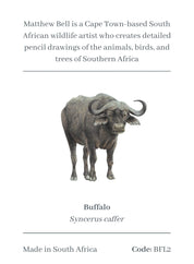 Buffalo Magnet - BFL2