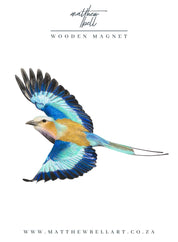 Lilac Breasted Roller Magnet - LBR7