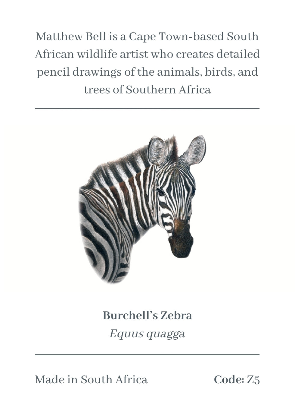 Zebra Magnet - Z5