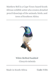 White Bellied Sunbird Magnet - WBS