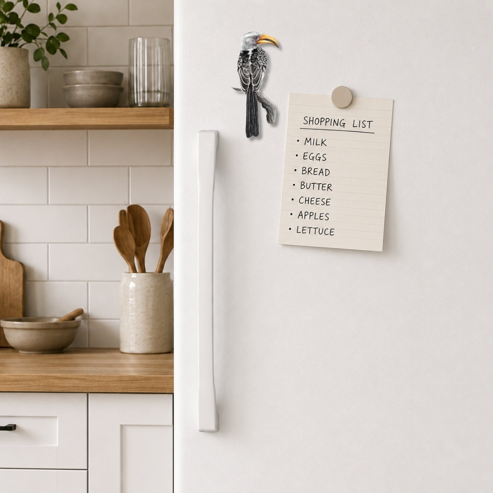 Yellow Billed Hornbill fridge magnet reflecting the beauty of South African birdlife through Matthew Bell's artwork