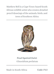 Pearl Spotted Owl Magnet - PSO