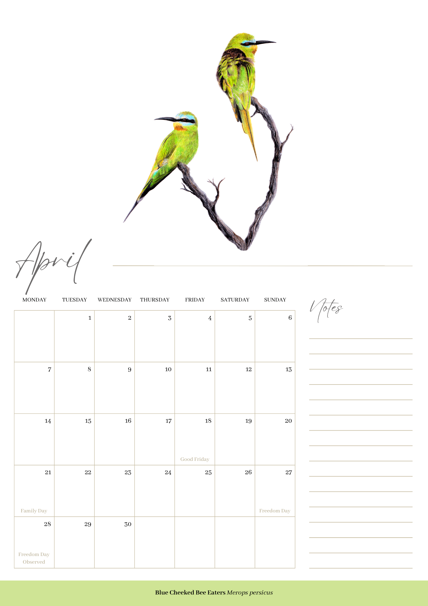 2025 premium quality South African birds hanging wall calendar showing wildlife artwork by artist Matthew Bell including Red Billed Hornbill, Lesser Striped Swallow, Saddle Billed Stork, Crowned Lapwing, Violet Backed Starling, Grey Headed Bush Shrike, African Pitta, Marico Sunbird, Blue Cheeked Bee Eater, African Pygmy Kingfisher, Cape Weaver, Wood Owl