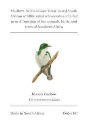 Klaas's Cuckoo Magnet - KC