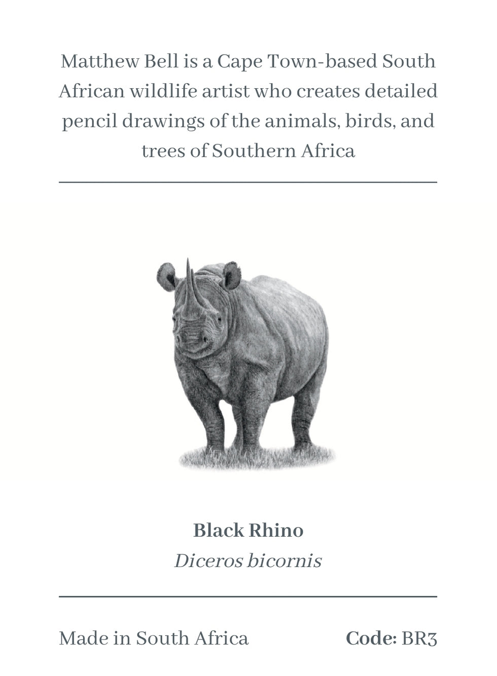 Black Rhino Magnet - BR3