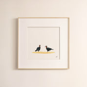 Ground Hornbills - The Original