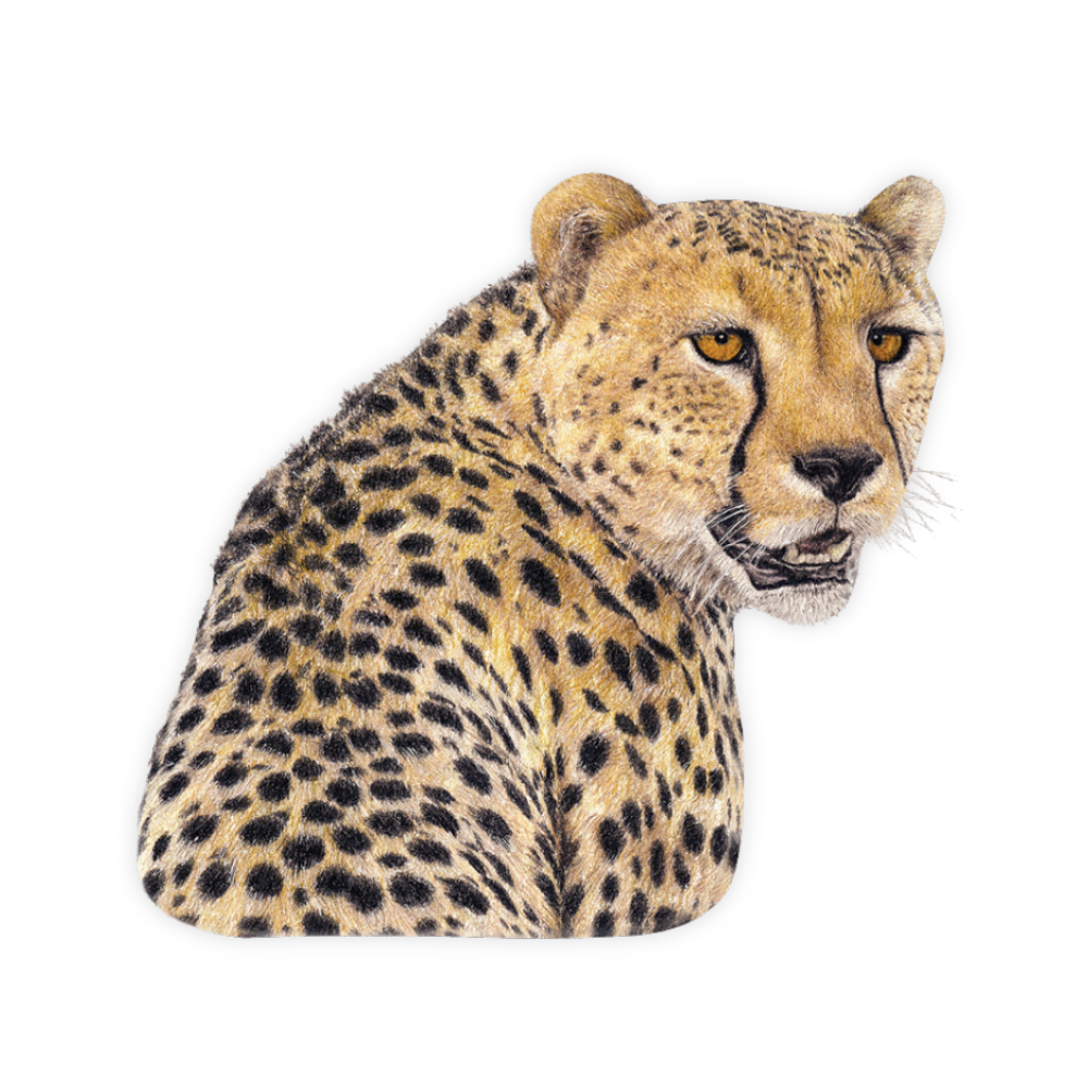 6_429430b8-d706-42f2-8718-09845d27a8d6.png