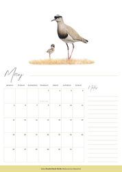 2025 premium quality South African birds hanging wall calendar showing wildlife artwork by artist Matthew Bell including Red Billed Hornbill, Lesser Striped Swallow, Saddle Billed Stork, Crowned Lapwing, Violet Backed Starling, Grey Headed Bush Shrike, African Pitta, Marico Sunbird, Blue Cheeked Bee Eater, African Pygmy Kingfisher, Cape Weaver, Wood Owl