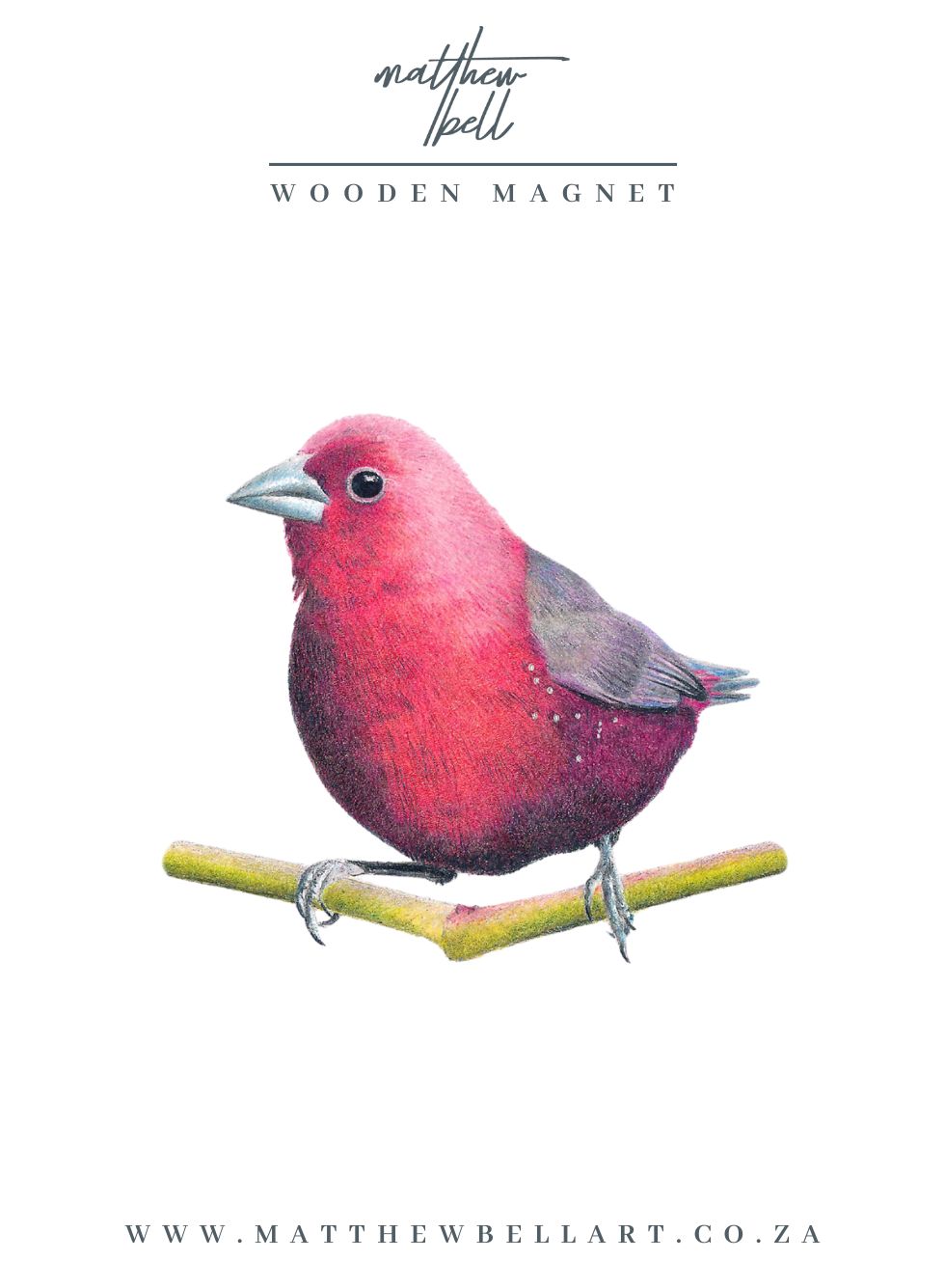 Jameson's Firefinch Magnet - JF