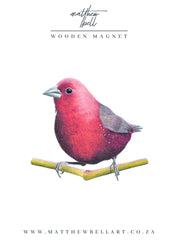 Jameson's Firefinch Magnet - JF