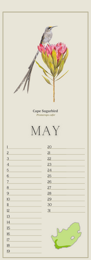 South African Birds art perpetual reusable birthday calendar by wildlife artist Matthew Bell