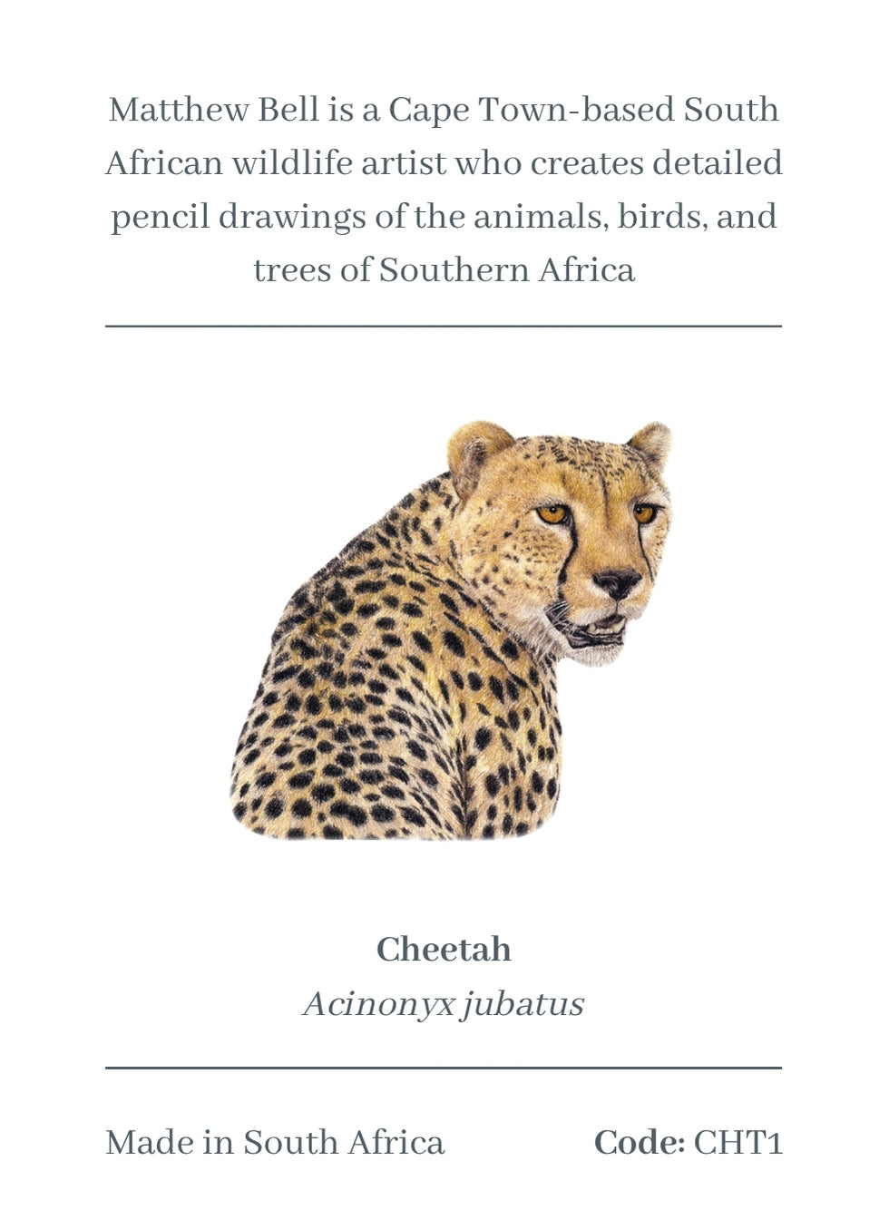 Cheetah Magnet - CHT1