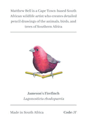 Jameson's Firefinch Magnet - JF