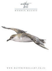 Great Shearwater Magnet - GSW