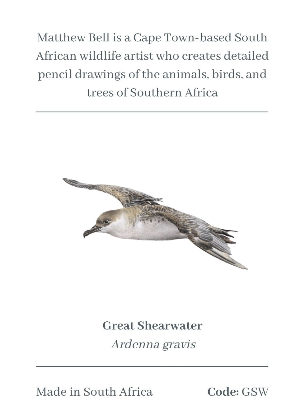 Great Shearwater Magnet - GSW