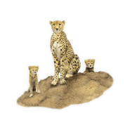Cheetah Magnet - CHT4