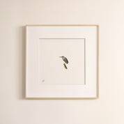 Green Backed Heron - The Original