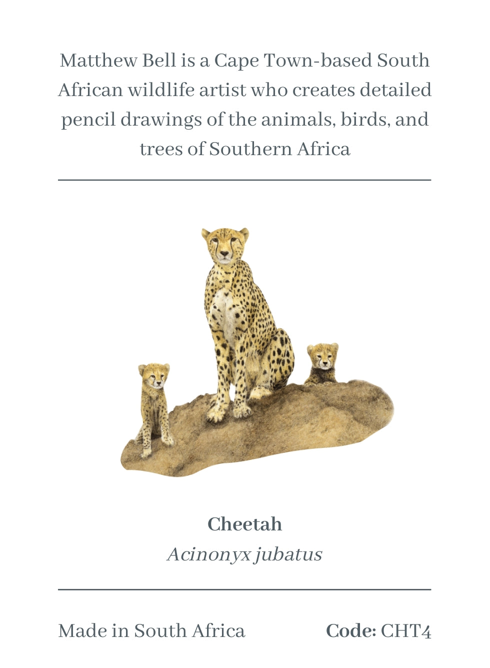 Cheetah Magnet - CHT4