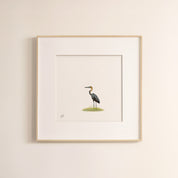 Goliath Heron - The Original