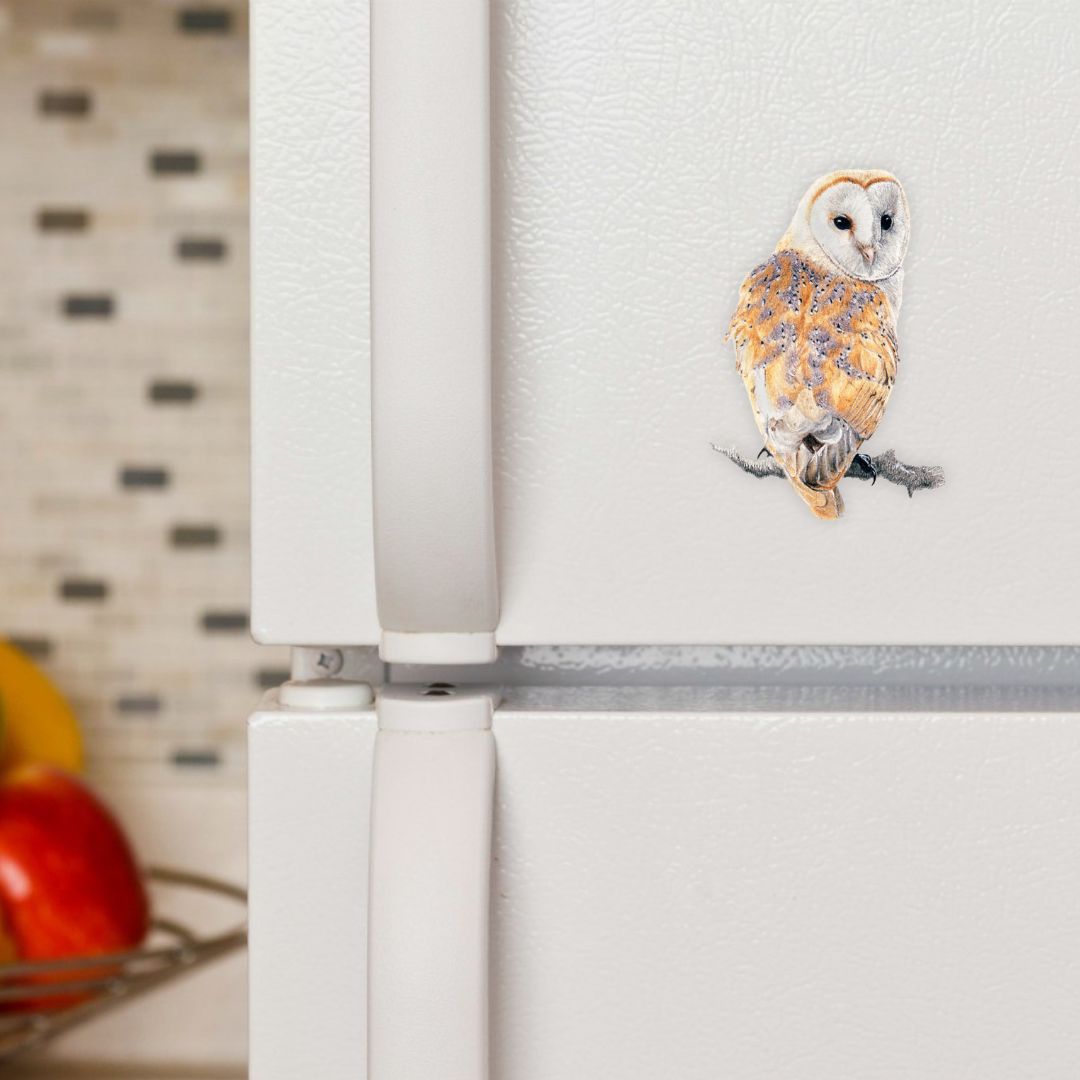 Barn Owl Magnet - BO – Matthew Bell Wildlife Art