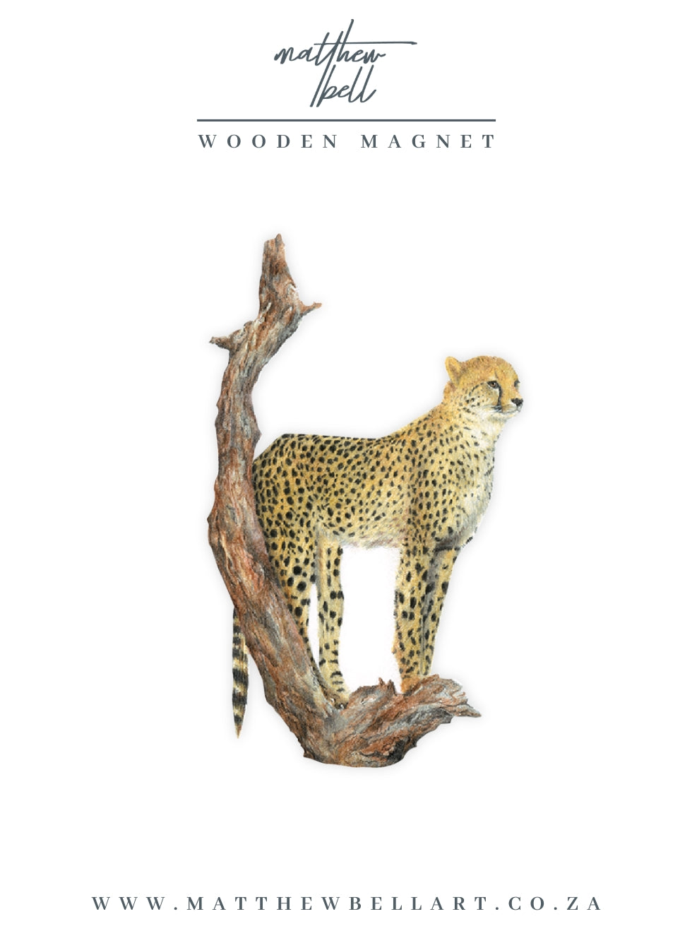 Cheetah Magnet - CHT6