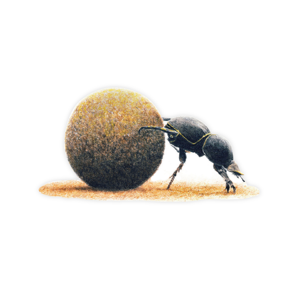 9_26d3bdb4-4ad1-4684-84d9-c24993d12902.png