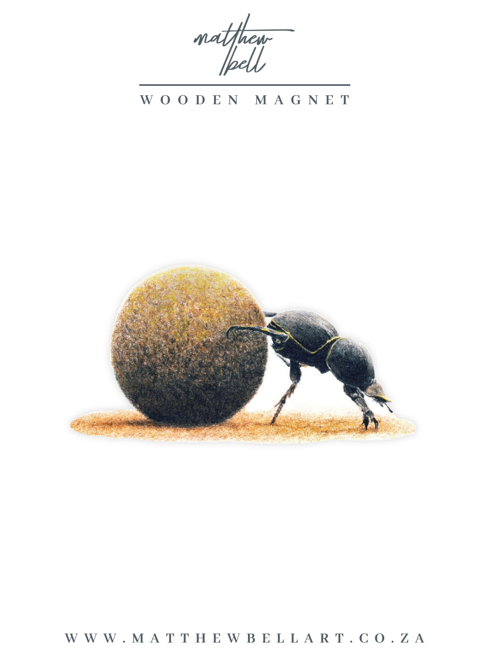 Dung Beetle Magnet - DB2
