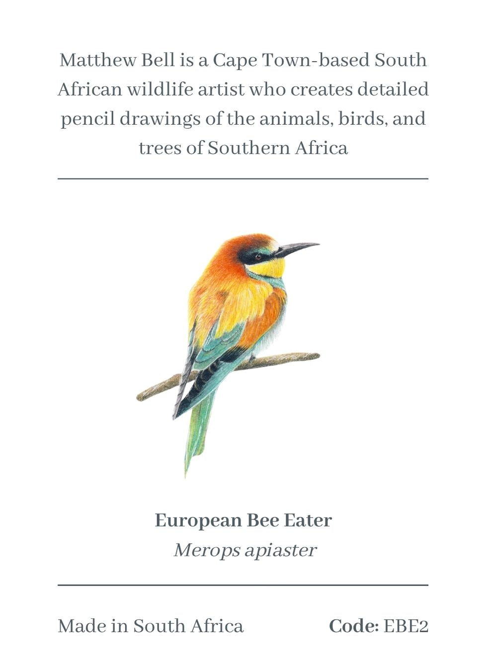 European Bee Eater Magnet - EBE1