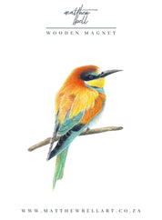 European Bee Eater Magnet - EBE1
