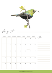 2025 premium quality South African birds hanging wall calendar showing wildlife artwork by artist Matthew Bell including Red Billed Hornbill, Lesser Striped Swallow, Saddle Billed Stork, Crowned Lapwing, Violet Backed Starling, Grey Headed Bush Shrike, African Pitta, Marico Sunbird, Blue Cheeked Bee Eater, African Pygmy Kingfisher, Cape Weaver, Wood Owl