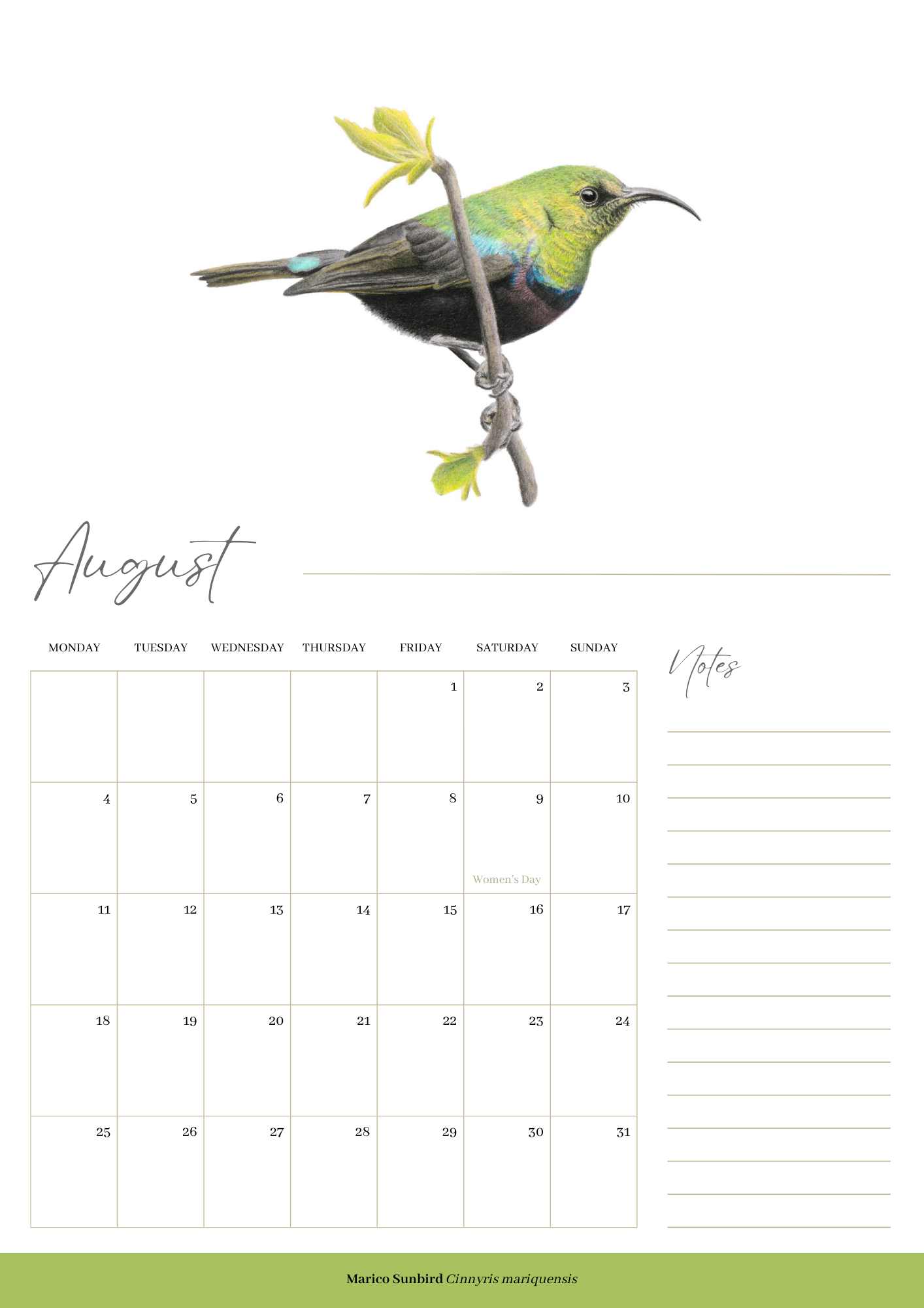 2025 premium quality South African birds hanging wall calendar showing wildlife artwork by artist Matthew Bell including Red Billed Hornbill, Lesser Striped Swallow, Saddle Billed Stork, Crowned Lapwing, Violet Backed Starling, Grey Headed Bush Shrike, African Pitta, Marico Sunbird, Blue Cheeked Bee Eater, African Pygmy Kingfisher, Cape Weaver, Wood Owl