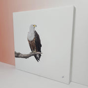 African Fish Eagle bird artwork on stretched canvas with wooden framev