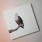 African Fish Eagle bird artwork on stretched canvas with wooden frame