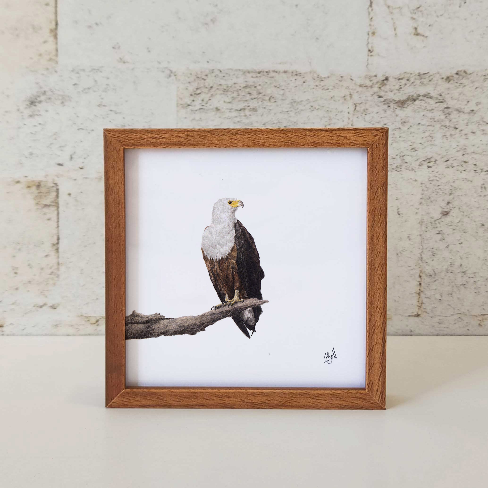 Kiaat wood framed miniature artwork of a African Fish Eagle, part of wildlife artist Matthew Bell's birds of South Africa gallery