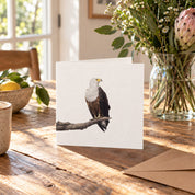 African Fish Eagle Greeting Card - AFE
