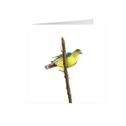 African Green Pigeon Greeting Card - AGP