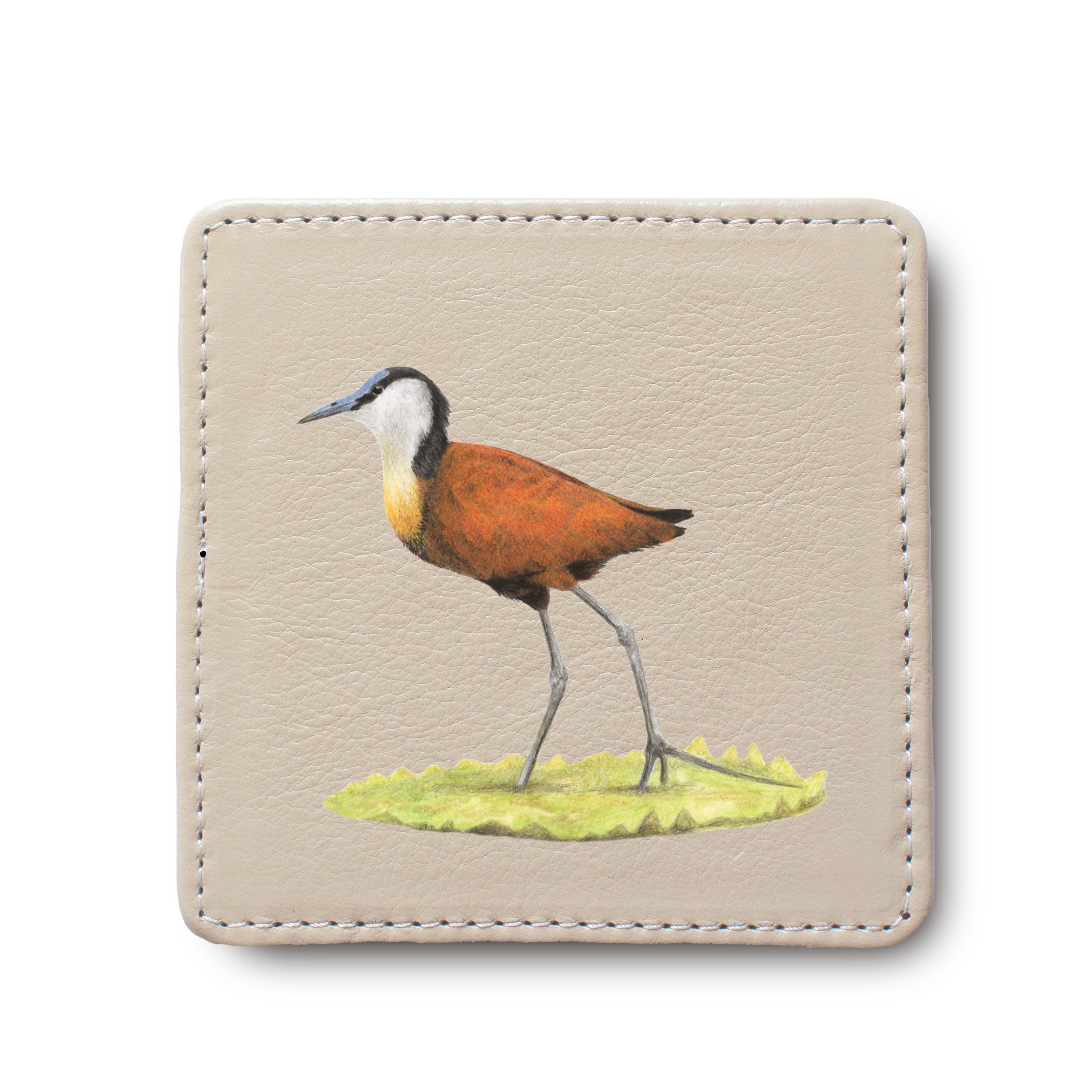 African Jacana Bird leather coaster by South African wildlife artist Matthew Bell