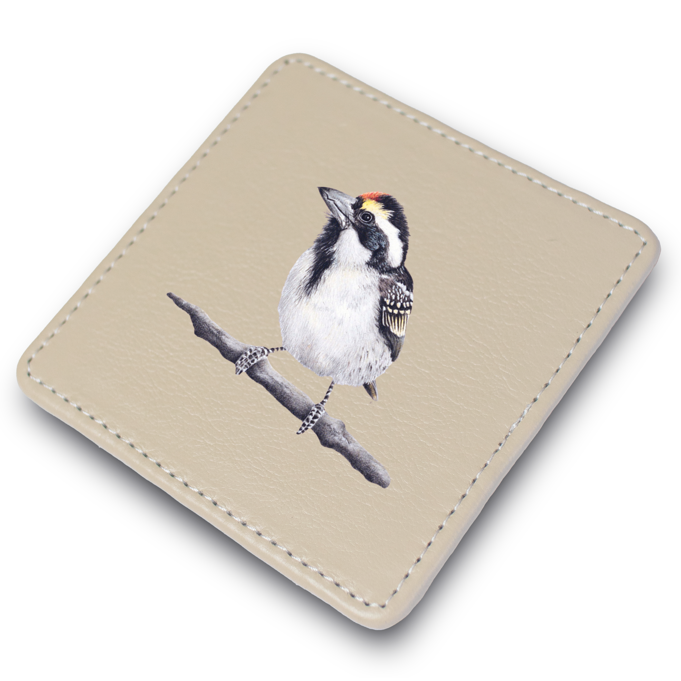 Acacia Pied Barbet Leather Coaster