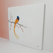 South African bird artwork on canvas, stretched on wooden frame by wildlife artist Matthew Bell of an African Paradise Flycatcher