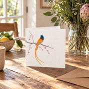 African Paradise Flycatcher Greeting Card - APF
