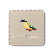 African Pitta Bird leather coaster by South African wildlife artist Matthew Bell