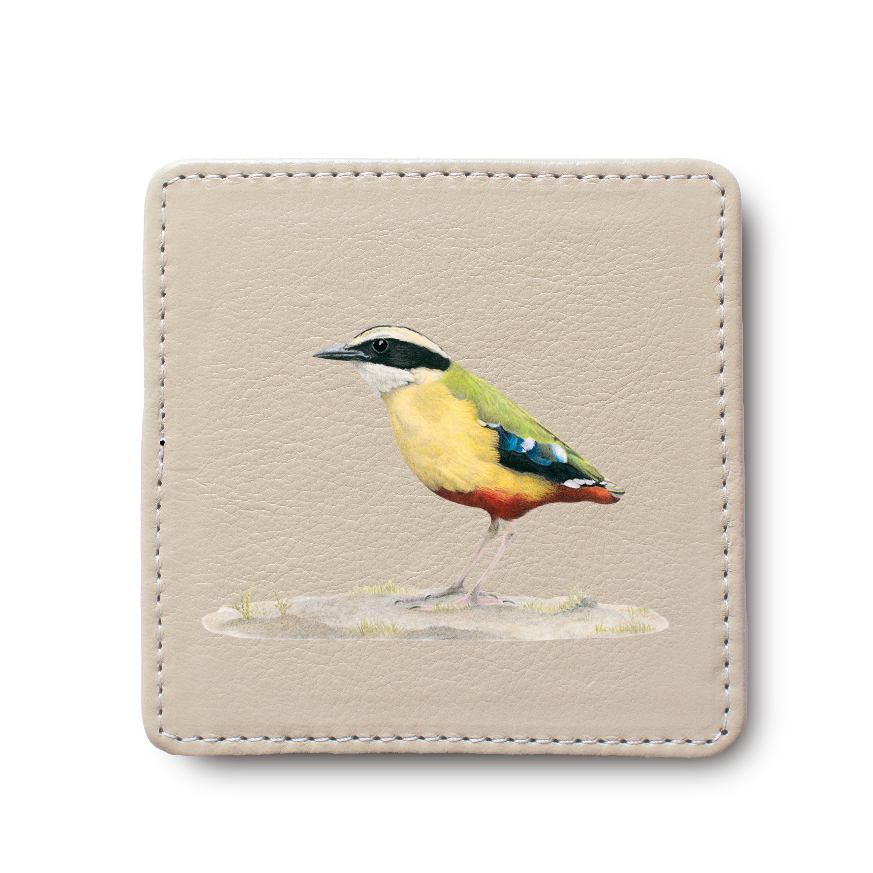 African Pitta Bird leather coaster by South African wildlife artist Matthew Bell