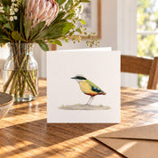 African Pitta Greeting Card - APIT