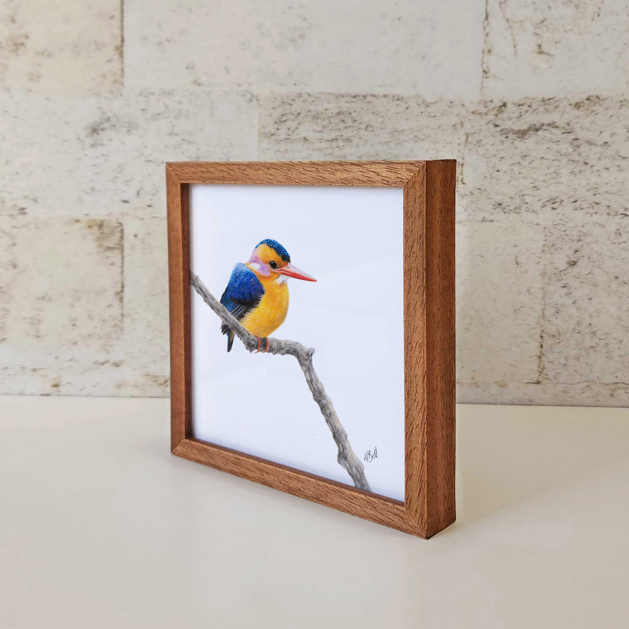 Kiaat wood framed miniature artwork of an African Pygmy Kingfisher, part of wildlife artist Matthew Bell's birds of South Africa gallery