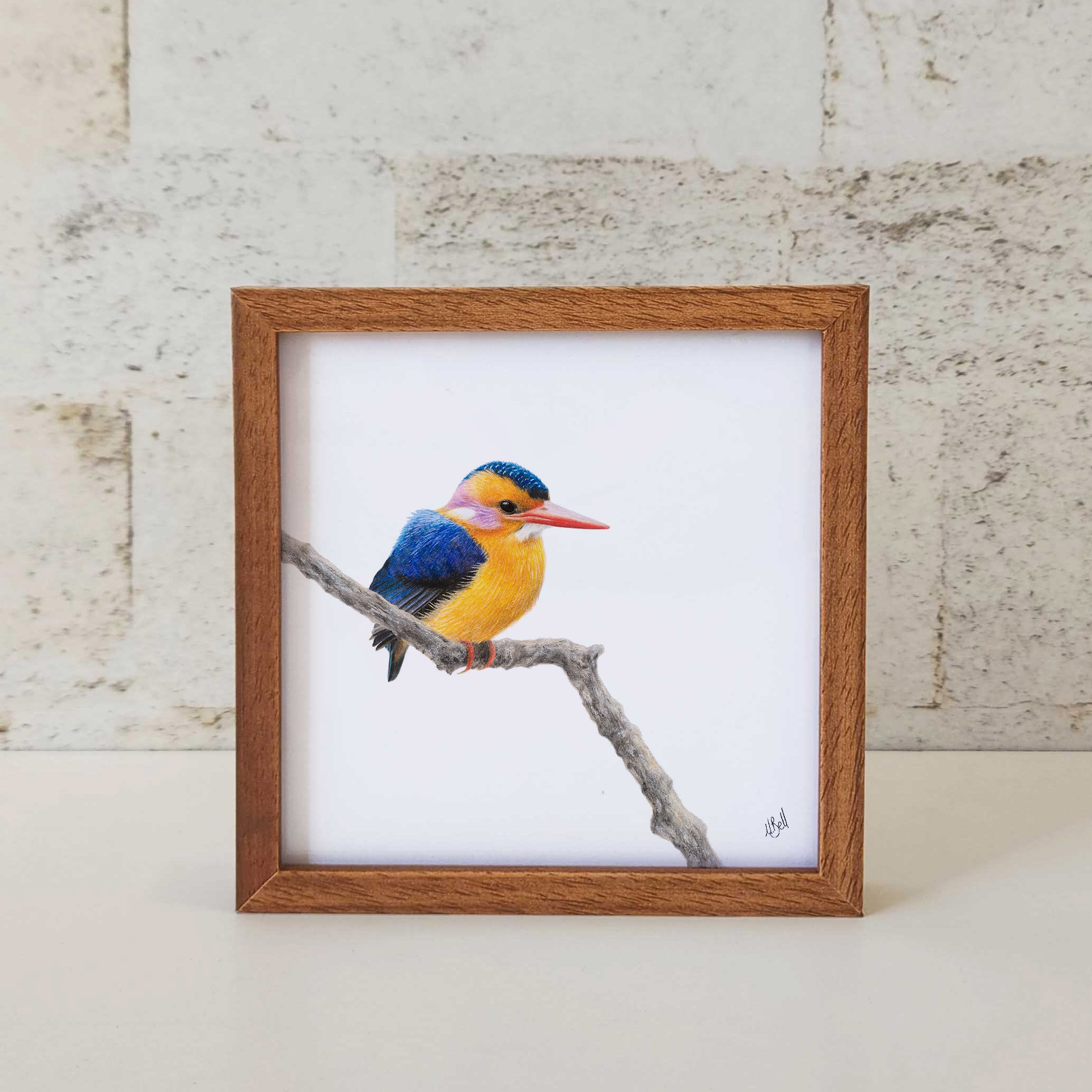 Kiaat wood framed miniature artwork of an African Pygmy Kingfisher, part of wildlife artist Matthew Bell's birds of South Africa gallery