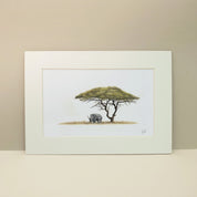 White Rhino underneath Camel Thorn Acacia Tree pencil artwork