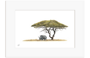 Acacia Tree and White Rhino - AT1