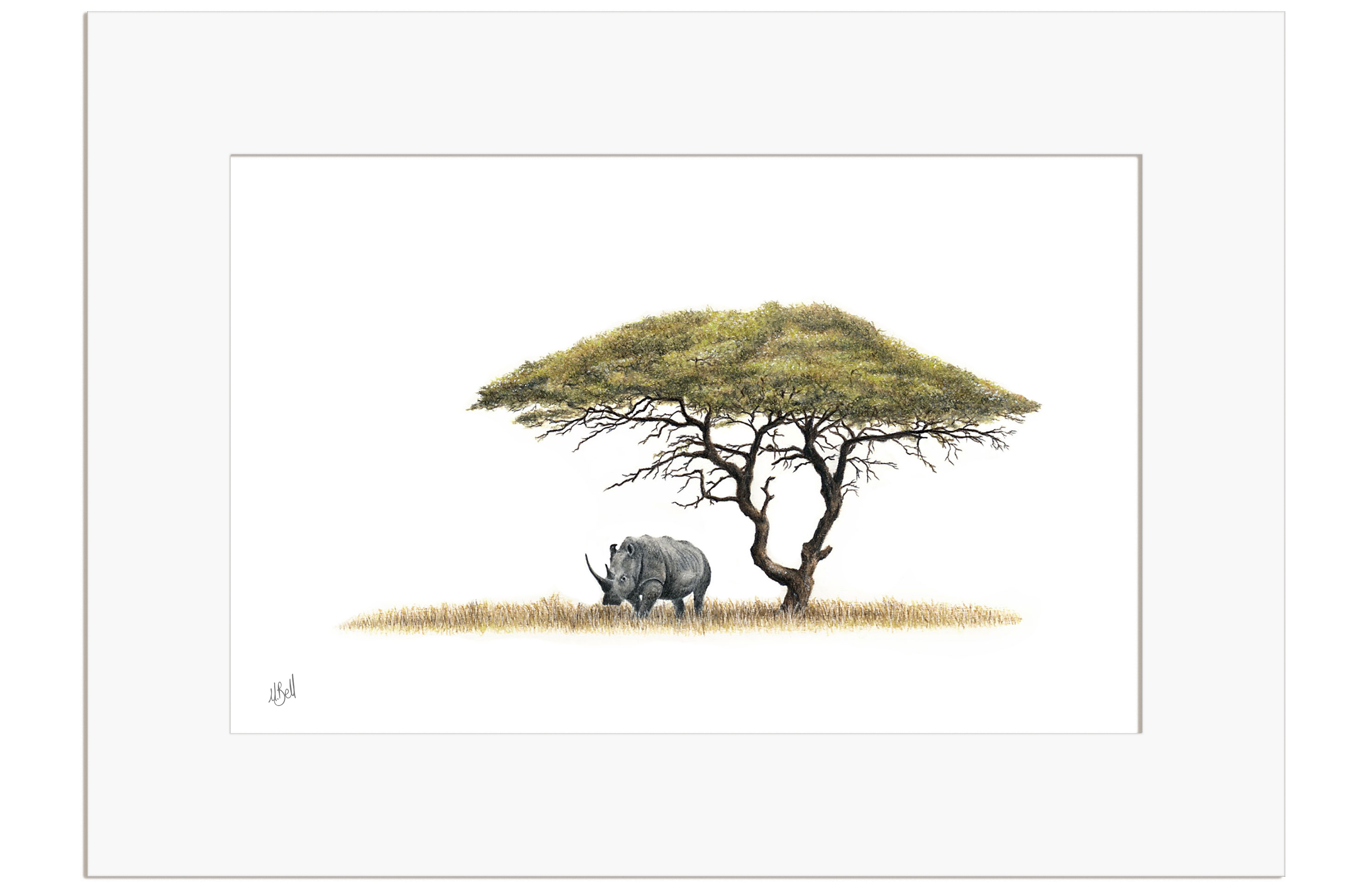 Acacia Tree and White Rhino - AT1