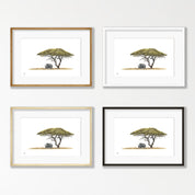Acacia Tree and White Rhino - AT1